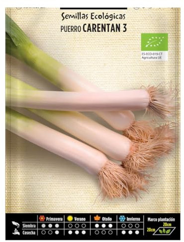 Semillas Horticolas - Puerro carentan 3 eco - Semillas listas para plantar.