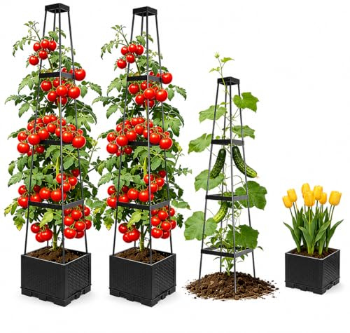 DINGIXOC 2 Pack Raised Garden Bed Planter Box with Trellis, Adjustable Tomato Plant Cage with 4-Tier for Climbing Vegetables Plants Tomato Cage w/Self-Watering, Outdoor or Indoor Use