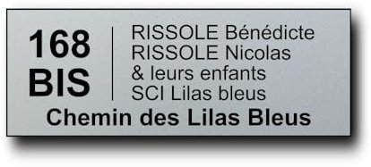 Plaque Boite aux Lettres Personnalisable - Adresse Complète et Numéro de rue - 12x5 cm - 5 Lignes - Adhésive - Maison, Famille, Bureau - Conforme à la Norme Juin 2024 (Argent écriture Noire)