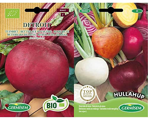 Germisem Bio Graines Betterave potagère DETROIT & graines Betteraves rondes en mélange HULLAHUP