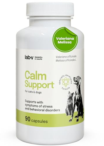 Lab-V Calm Support, 90 kapslar lugnande medel för hundar och katter, naturliga hundar lugnande med valerian, meliss & L-tryptophan, anti-stress medel hund vid bilresor, nyårsafton och resor