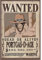 ABYSTYLE - ONE PIECE - Poster Wanted Ace (91.5x61)