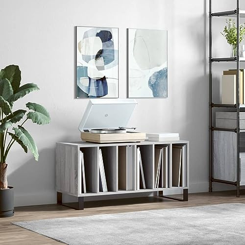 BOWEKAM Muebles, armarios y almacenamiento, armarios y estantes de almacenamiento de medios, gabinete de discos gris Sonoma, 100 x 38 x 48 cm, madera de ingeniería
