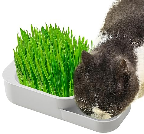 Povanjer césped para Gatos Interior - Cajas para macetas Cat Grass Grower - Contenedor a Prueba Fugas Bandeja Comida para Gatos, Caja plantación Cultivo Hierba orgánica