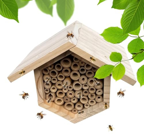 Casas De Abejas para El Exterior Colmena con Tubos