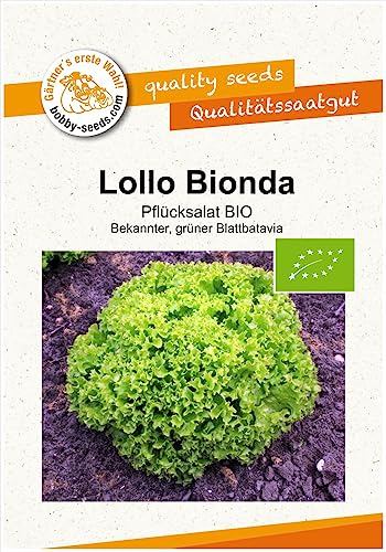 BIO-Salatsamen Lollo bionda Pflücksalat Portion