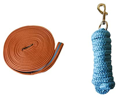 Rhinegold Padded Lunge Line - Tangerine/Turquoise & Luxe Lead Rope