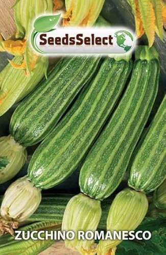 ZUCCHINO ROMANESCO SEMI IN BUSTINA