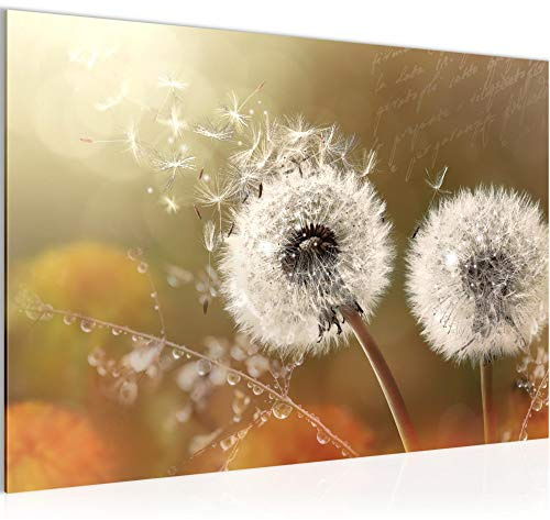 Runa Art Bild Pusteblume Modern Wandbilder Wohnzimmer Schlafzimmer 1 Teilig - Made In Germany - Gräser Beige Braun Flur 023615a