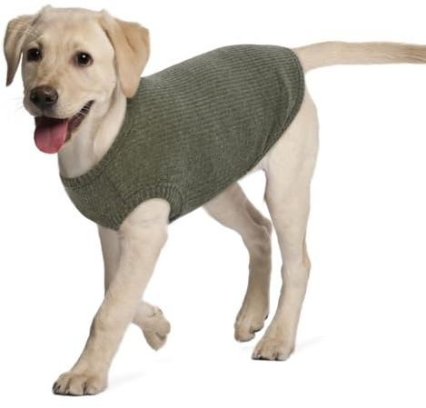 Hjumarayan Maglietta Cane - Magliette per Cani Sottile Maglione Estiva Cane Taglia Piccola Maglia Grande per Cani, Maglioncino a Righe Maglia Elastico (Verde XL)