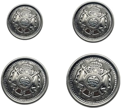 Luckious Brand 40 Pcs Metal Blazer Button Set - Vintage Copper Buttons for Blazer, Suit, and Coat, Silver