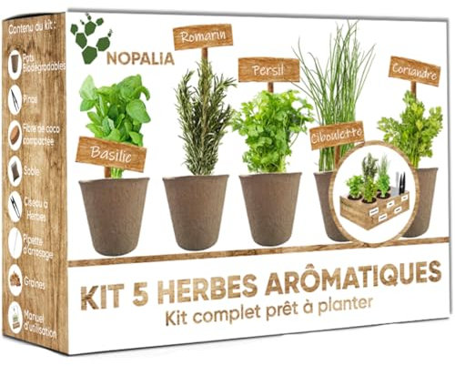 NOPALIA® Kit Herbes Aromatiques Premium - Mini Kit Complet Prêt à Pousser | Mini Potager Intérieur | Graines Herbes Aromatiques à Planter - Idée Cadeau noel - Romarin Coriandre Ciboulette Basilic