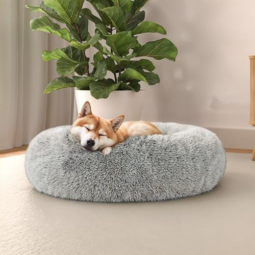 Italian Bed Linen Suave caseta Dreams para Perros y Gatos, Perla, 60 x 60 cm