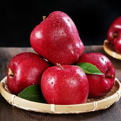 semillas de manzano-Cultivo de semillas,columnares. en maceta resistentes y resistentes a las frutas en columna.80pcs