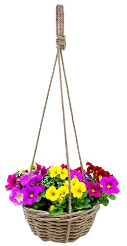 Rottan, blomampel, shabby chic, 30 cm, pil, hängampel med natursnöre