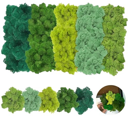 20 Piezas Musgo Natural preservado Decorativo,Musgo Islandés en 5 Colores Diferentes Rendier Musgo Decoración Musgo Artesanal Musgo para modelismo, manualidades (200g)