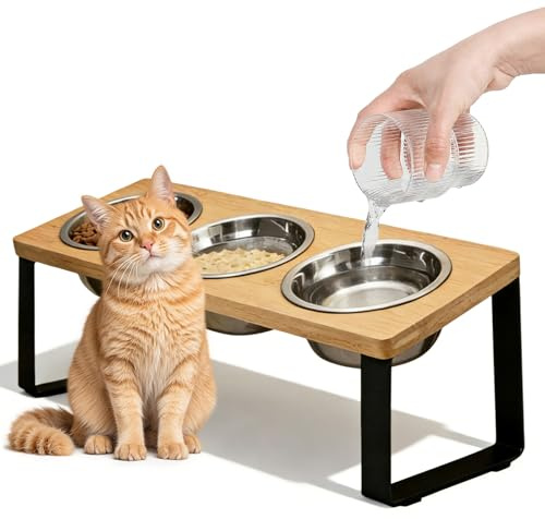 Vegena Ciotola per gatti inclinata, ciotole rialzate inclinate, 3 ciotole rialzate, gattini inclinati per cibo acqua, set ciotole in acciaio inossidabile per gatti di piccola taglia cani