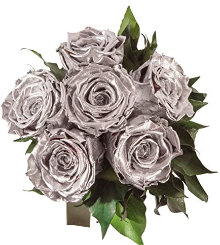 ROSEMARIE SCHULZ Heidelberg Infinity Blumenstrauß echte konservierte Rosen Lange haltbar bis zu 3 Jahre (6 Rosen, Silber)