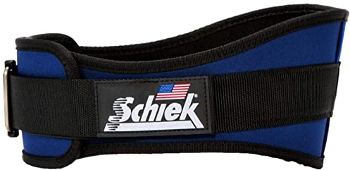 Back Support Advanced Kidney Belt, L