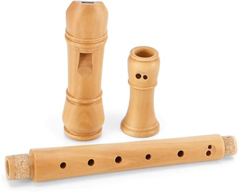 Professionell C-nyckel Sopranblockflöjt Med Hårt Fodral nybörjare sopran blockflöjt (Color : 02)