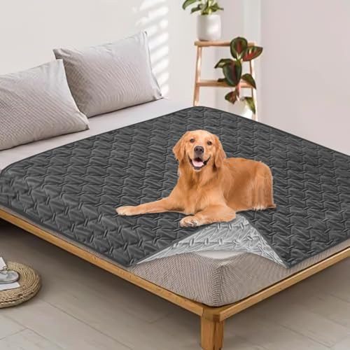 BAIFULAI Coperta impermeabile cane, 200 x 130 cm, tappetino antiscivolo per cani grandi e piccoli, colore grigio scuro