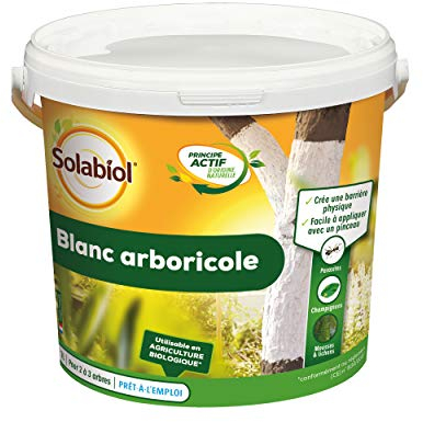 SOLABIOL Protection des Arbres Blanc Arboricole - seau 1L - Barrière physique contre les parasites, des champignons, mousses - 2 à 3 arbres SOBLANC1