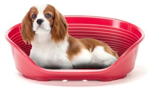 Ferplast Panier Chien Panier Chat 100% en Plastique, Respirante et Antidérapante Siesta Deluxe, 70,5 x 52 x 23,5 cm, Bordeaux