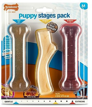 Nylabone Welpen Stufen Dreierpack, sanftes Huhn Starter kauen, Graduate Ahorn Speck Holz Stick, Graduate Rindfleisch Jerky Extreme Knochen, Medium (1 Packung mit 3 Kauspielzeug)