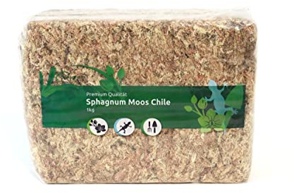 Sphagnum Shop Muschio Sphagnum per Terrario e Orchidee dal Cile 1 x 1000 g per Orchidee & Terrariofilia - Substrato Ideale & Bastoni di Muschio
