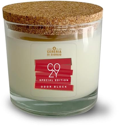 Candela in bicchiere 100% cera vegetale e vegana - Oli essenziali profumati Arancia e Cannella - Mangia odori - Odor Block - Durata 50 ore - Made in Italy - Cereria di Giorgio