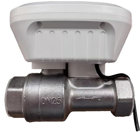 Uxsjakjsd Tuya WiFi Wasserventil Wassermesser Wasserflussrate Controller Wassertemperaturanzeige EU -Stecker