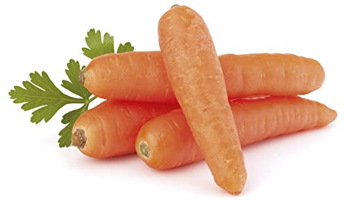 Semillas de Zanahoria Planta Comestible y Saludable Daucus Carota