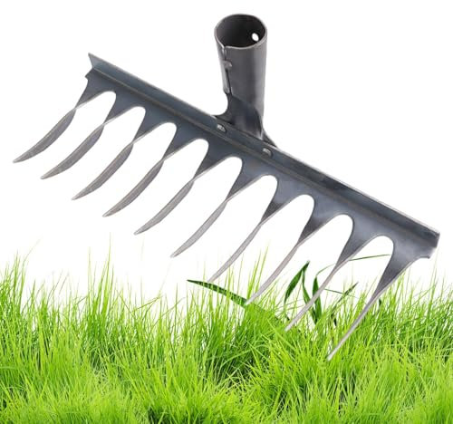 Râteau De Désherbage De Jardin, Râteau De Jardin 6/8/10 Dents en Acier, Râteau en Fer pour Jardinage Et Désherbage, Rateau Gazon Scarificateur Manuel pour Désherbage/Ameublissement du Sol/Semiss