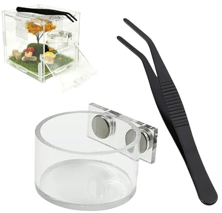 Bol À Eau pour Araignée Sauteuse - Kit D'Abreuvoir pour Petits Reptiles - Accessoires Terrarium Saltiques avec Pince De Nourrissage,pour Mantes Bernard-L'hermitte Reptiles & Petits Animaux