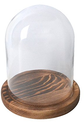 Klar glasklocka, Glaskloche med kupolformad glasburk och träbas, 11x15cm