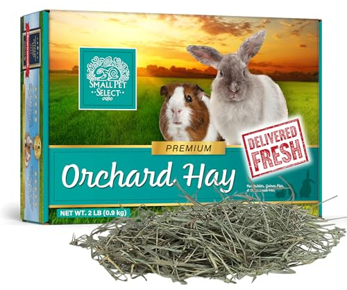 Small Pet Select Orchard Grass Hay, 2lb (0.91kg) | For Rabbits, Guinea Pigs, Chinchillas & Small Animals, Premium Natural Hay, Grown in USA