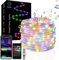 10M 100LED Smart Fairy Lights,Christmas String Lights for Bedroom,RGB USB Christmas Lights APP Control,IP67 Waterproof,Timer,DIY Color,Music Sync&Camera Color for Party,Wedding,New Year Decor