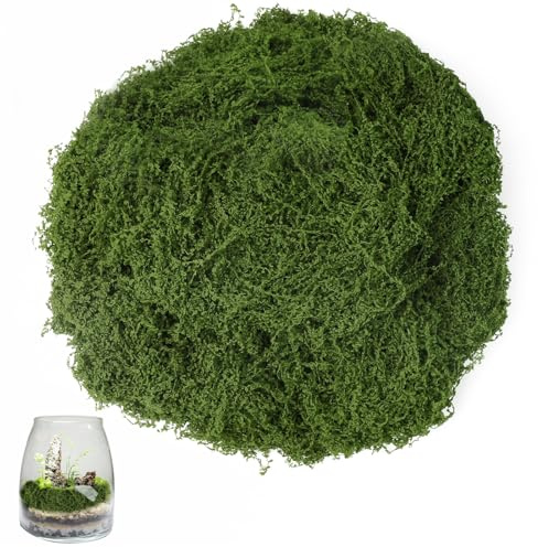 Hexizexi 100g Fake Moss Dark Green Artificial Moss | Decorative Faux Moss for Arts and Crafts Planters Model Making Festivals DIY