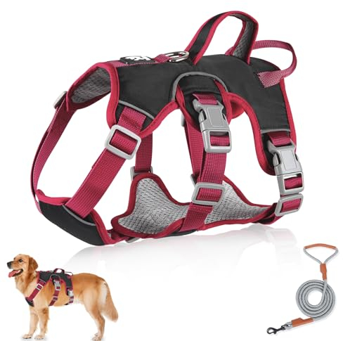 Mehrzweck-Hundegeschirr mit Leine Set, Ausbruchsicheres Anti Zug Hundegeschirr, Anti Zug Geschirr Hund Sicherheitsgeschirr, Hundegeschirr Kleine Hunde für Kleine Mittelgroße Hunde(Schwarz, S)