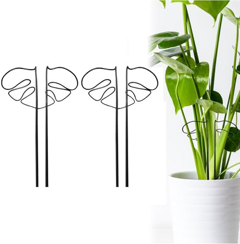 Gabbia ad anello per piante da giardino, in metallo, da giardino, Monstera, per piante da interno, per verdure, pomodori, peonie, rose Monstera, fiori (nero x 2)