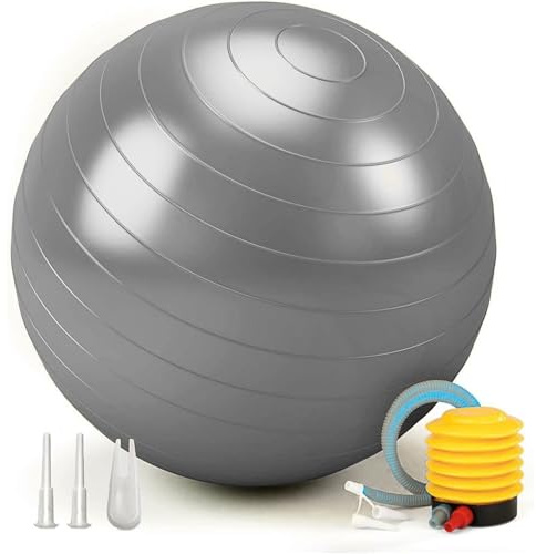 Exercise Ball 65cm 55cm 75cm, Anti-Burst Extra Thick Birthing Pregnancy Ball with Pump, Fitness Yoga Gym Balls for Adults, Exercise Balls for Labour, Stability, Pilates, Balance, Home Workout (Silver)