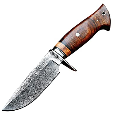 BIGCAT ROAR Wild Tiger - Couteau de Chasse 25,4 cm Acier Damas Forgé - Manche Bois de Noyer, Étui Cuir - Bushcraft, Outdoor, Survie - Cadeau Homme Chasseur ou Collectionneur d’Équipement Haut de Gamme