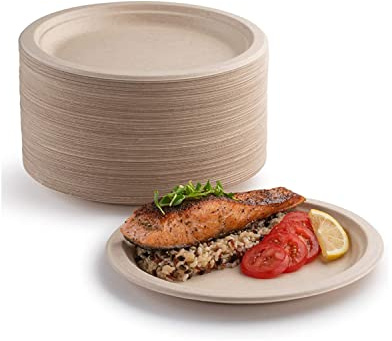 YIEN Lot de 100 assiettes en carton super rigides% et compostables respectueuses l'environnement très résistantes recyclables, parfaites pour les pique-niques barbecues (22,9 cm)