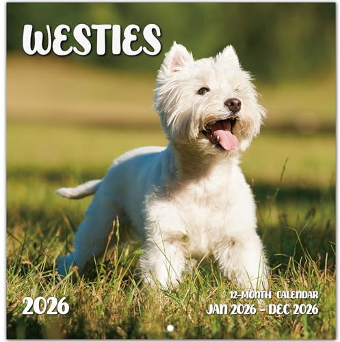 2026 Calendar, Westies Monthly Wall Calendar 2026 Runs from Nov 2025 – Dec 2026, Hanging Wall Calendar, 11.6 x 24Opened, Full Page Layout for Organizing, Perfect Presen