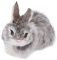 BuyWeek Kuscheltier Hase, Realistisches Plüsch Hase Hohe Simulation Kaninchen Stofftier Niedlich Bequem Kinder Mädchen Geschenk