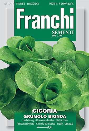 Franchi Seeds of Italy - Chicory - A Grumolo Bionda - Seeds