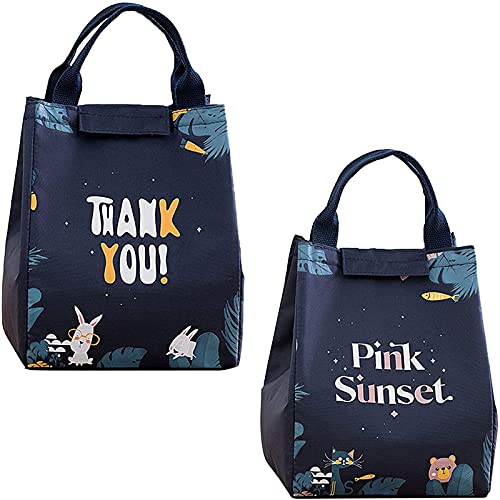 dcas 2 Pezzi Pranzo Al Sacco Portatile Isolato, Con Foglio Di Alluminio Isolierte Lunch Tasche Borsa Termica Porta Pranzo Al Sacco Riutilizzabile, Per Scuola, Picnic (7,87x6,69x9,25 Pollici)