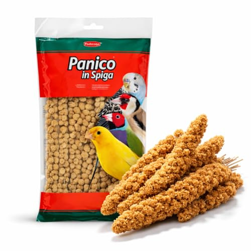 Spighe di Panico per Pappagalli - 250g - Mangime per Canarini, Cocorite e Diamantini, Spighe di Setaria Italica da Appendere in Gabbia, Ideale per Svezzamento e Antistress