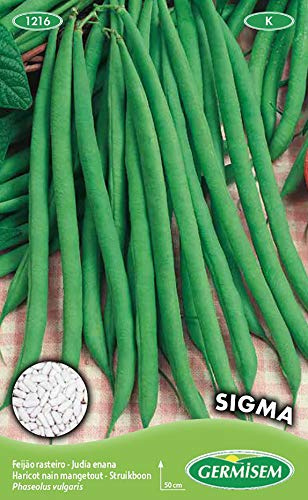 Germisem Sigma Semillas de Frijol Francés 100 g