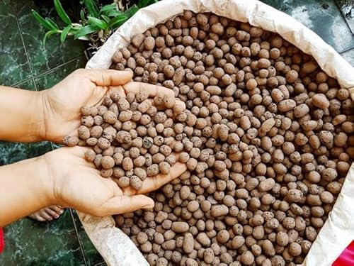 Boules Lecca pour mélange de terre, galets d'argile expansée, substrat hydroponique,